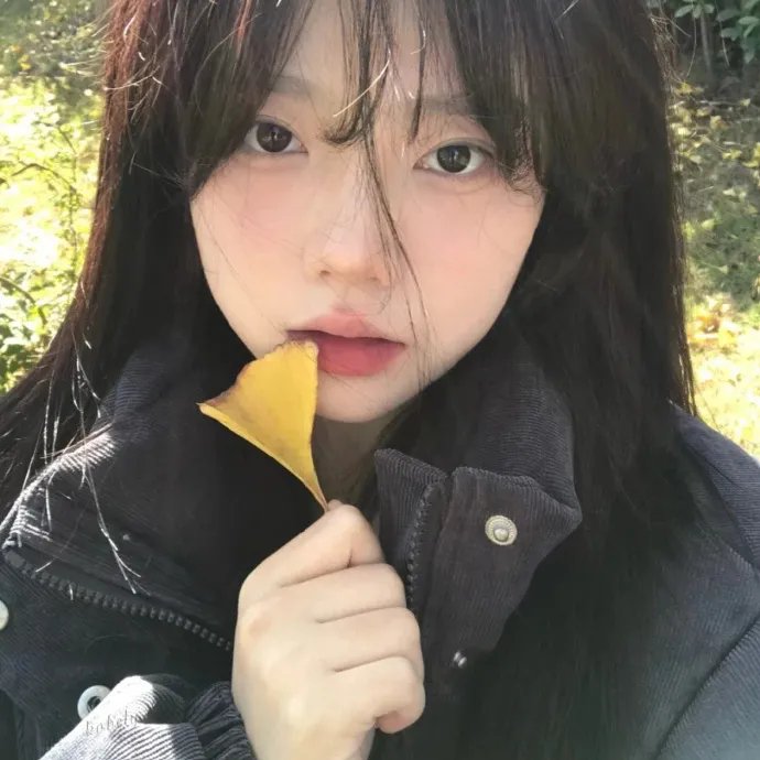潜行者之眼